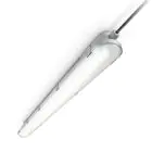 Philips LED Allmänbruksarmatur Vattentät CoreLine WT120C G2 42.9W 6000lm - 840 Kallvit | 150cm 